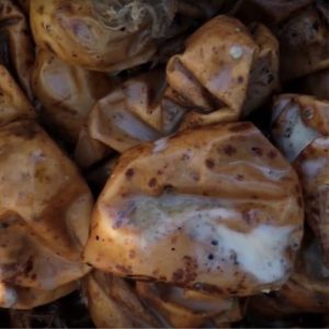 Gastronomía Mapuche 10 Funal poñü las papas vuna, una técnica que consiste en sumergir papas de 3 a 5 meses bajo el agua.