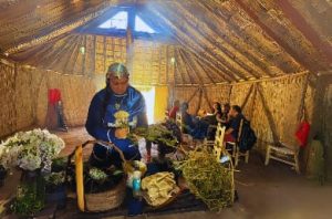 Blog 660 Medicina ancestral mapuche en peñalolén