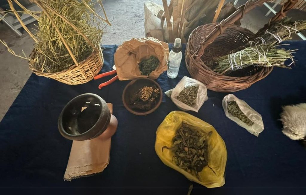 Salud intercultural en la pintana
