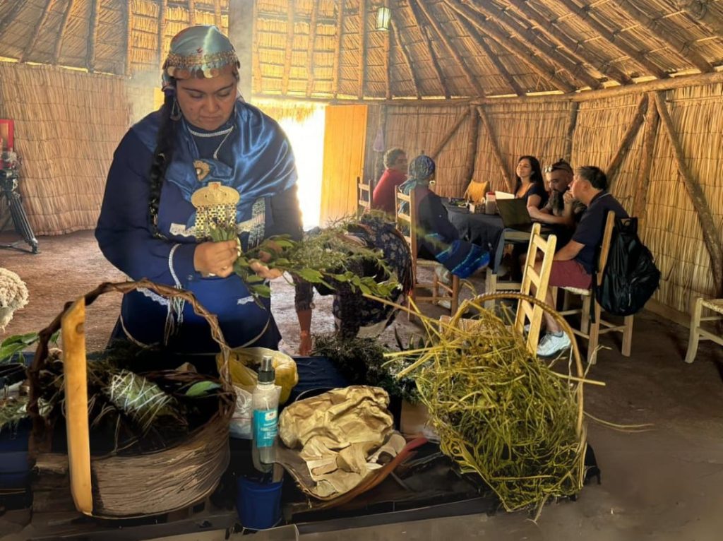 Medicina mapuche en peñalolen
