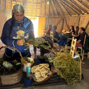 Medicina mapuche en peñalolen