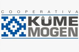 Blog 640 Küme mogen