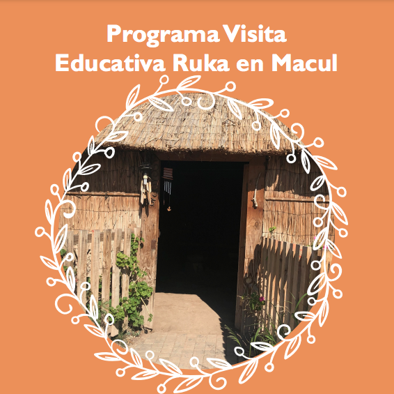 Visitas Guiadas A La Ruka Macul 1 Visitas guiadas a la ruka macul