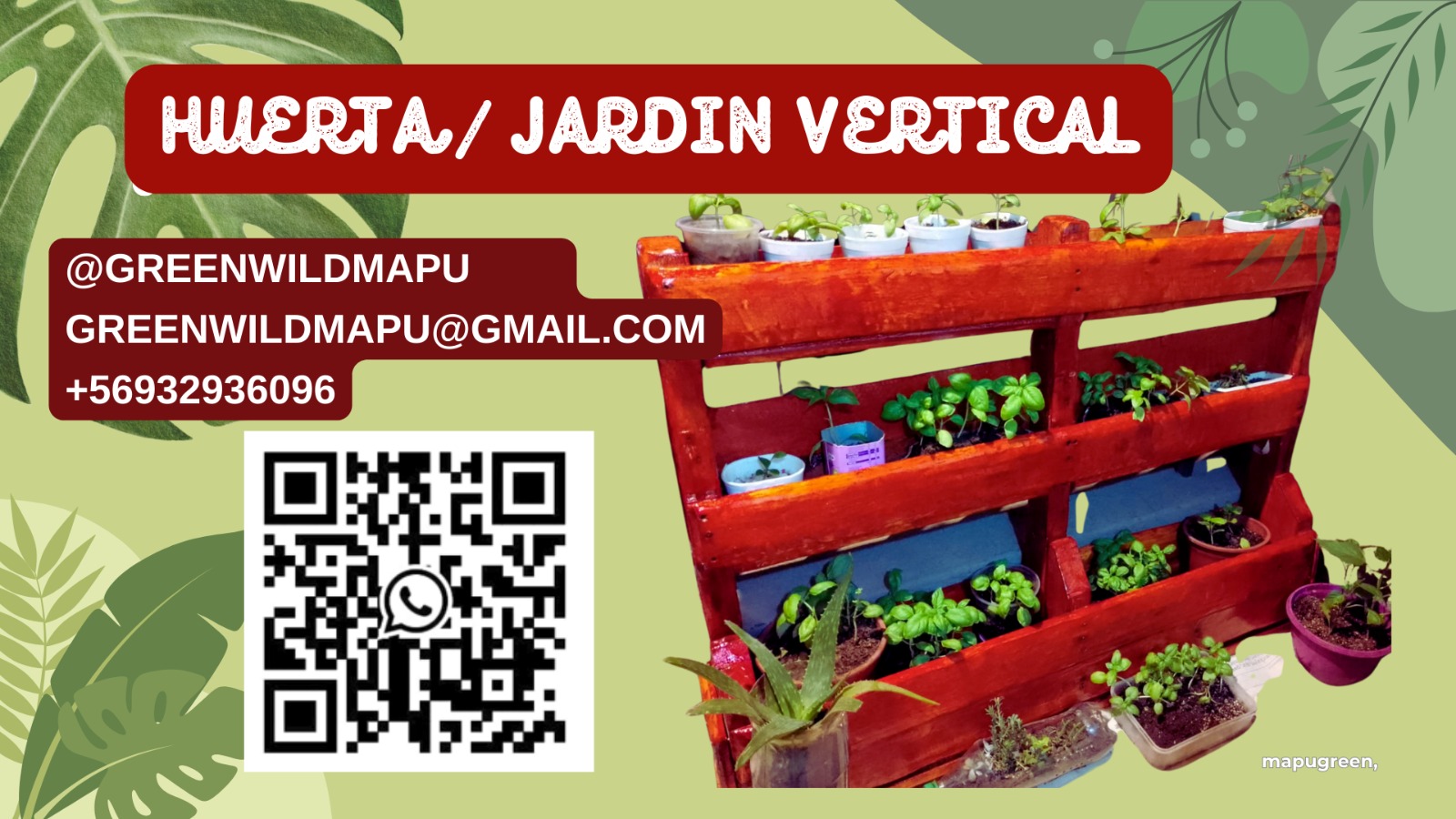 Jardines Verticales Mapuche 9 Jardines verticales mapuche - imagen 9