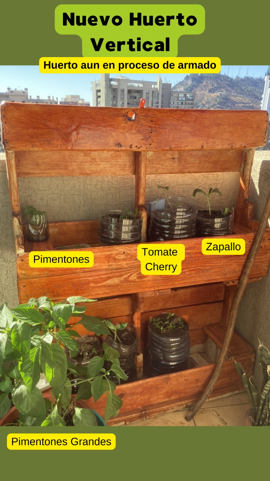 Jardines Verticales Mapuche 6 Jardines verticales mapuche - imagen 6