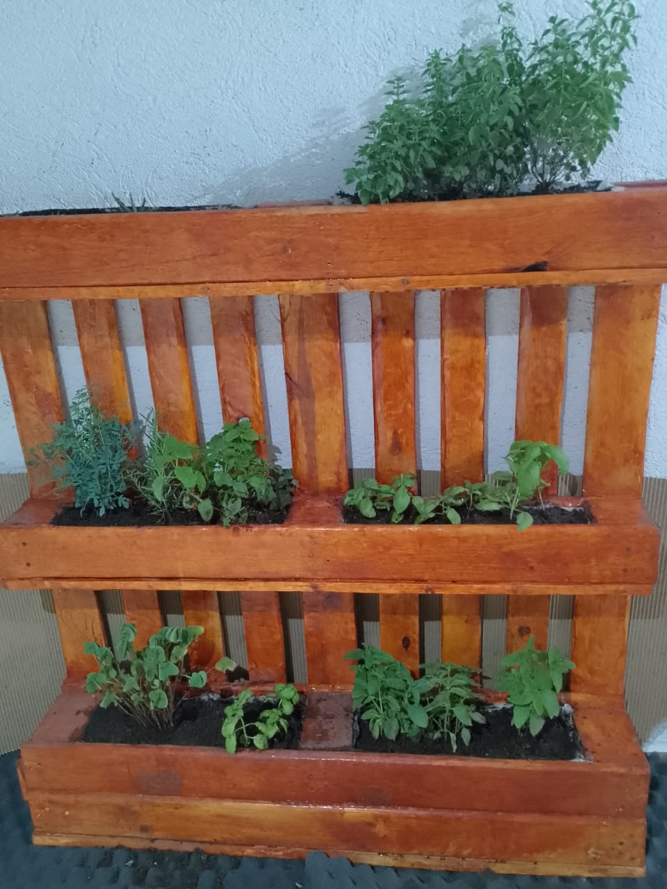 Jardines Verticales Mapuche 7 Jardines verticales mapuche - imagen 7