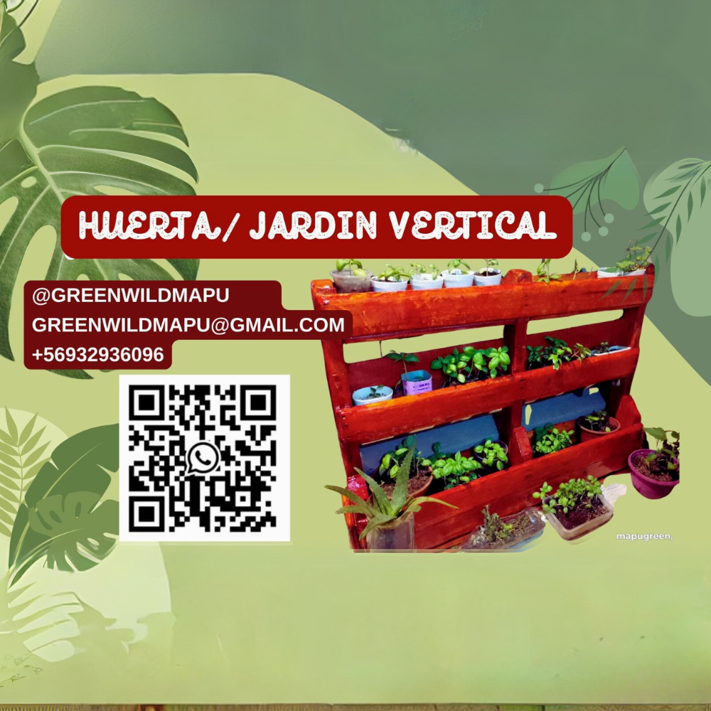 Jardines Verticales Mapuche 1 Jardines verticales mapuche