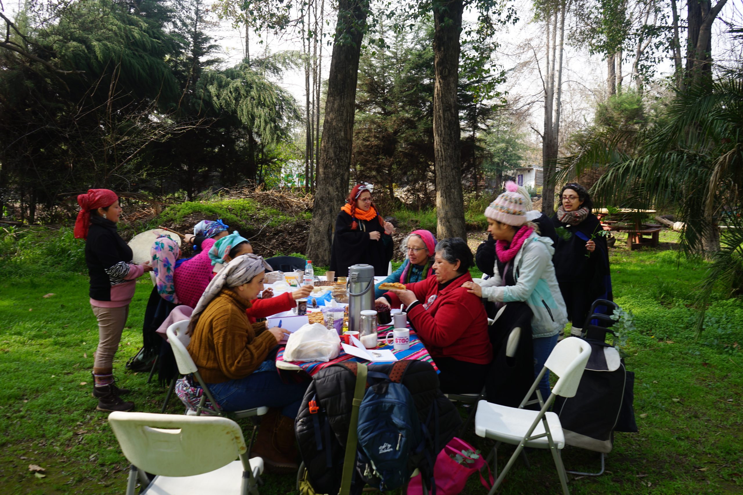Taller De Sanación Mapuche - Lawentún 9 Taller de sanación mapuche - lawentún - imagen 9