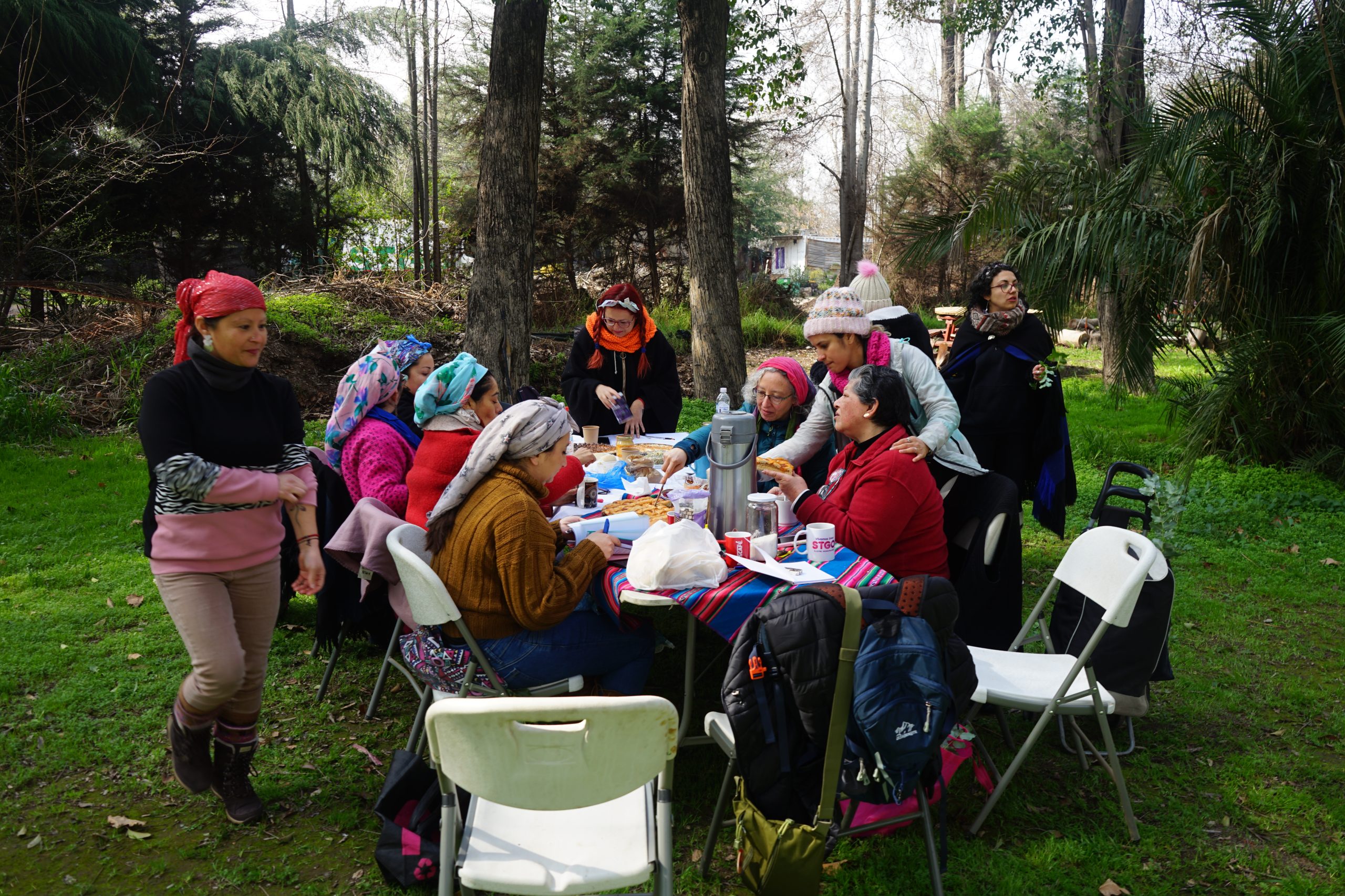 Taller De Sanación Mapuche - Lawentún 8 Taller de sanación mapuche - lawentún - imagen 8
