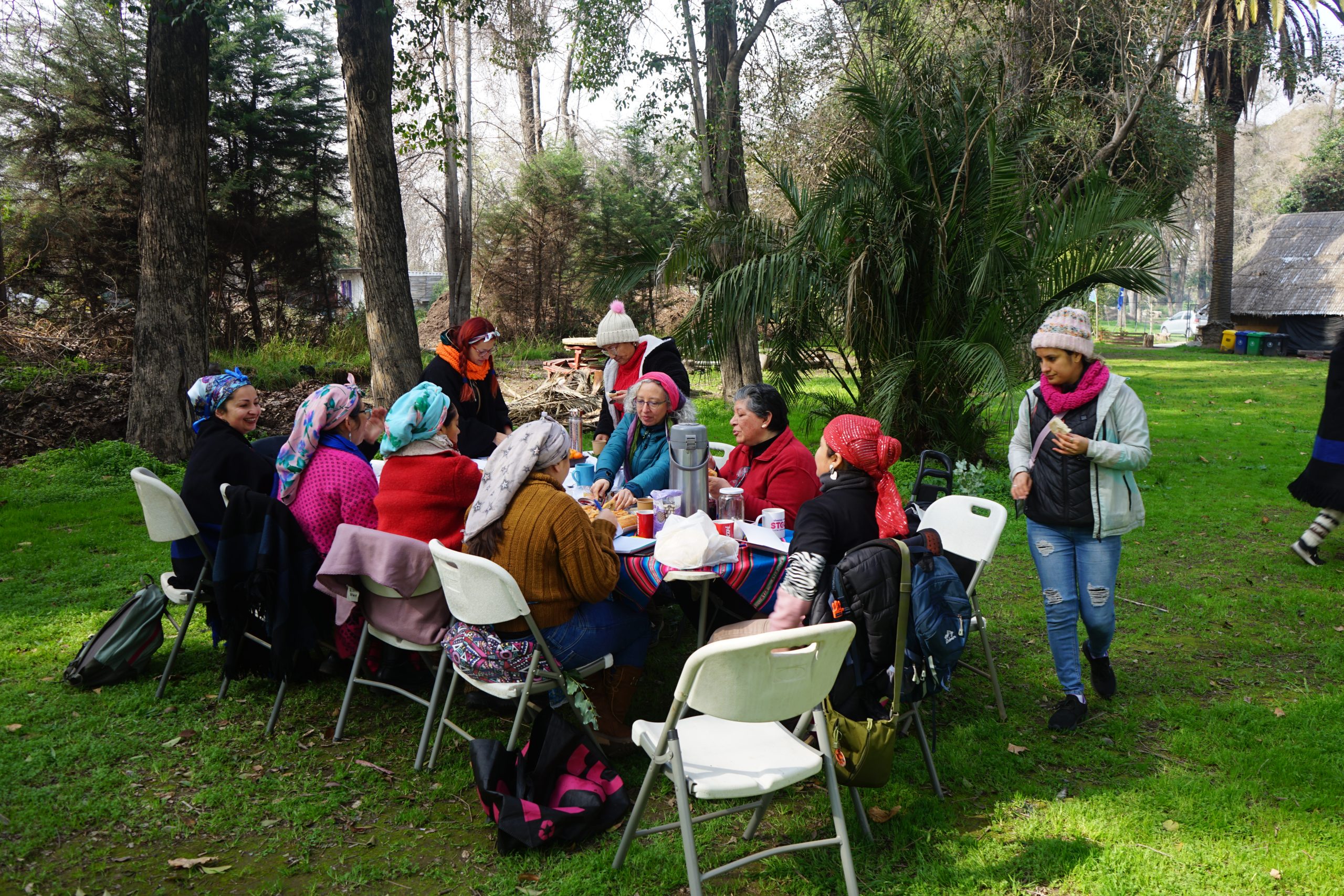 Taller De Sanación Mapuche - Lawentún 7 Taller de sanación mapuche - lawentún - imagen 7