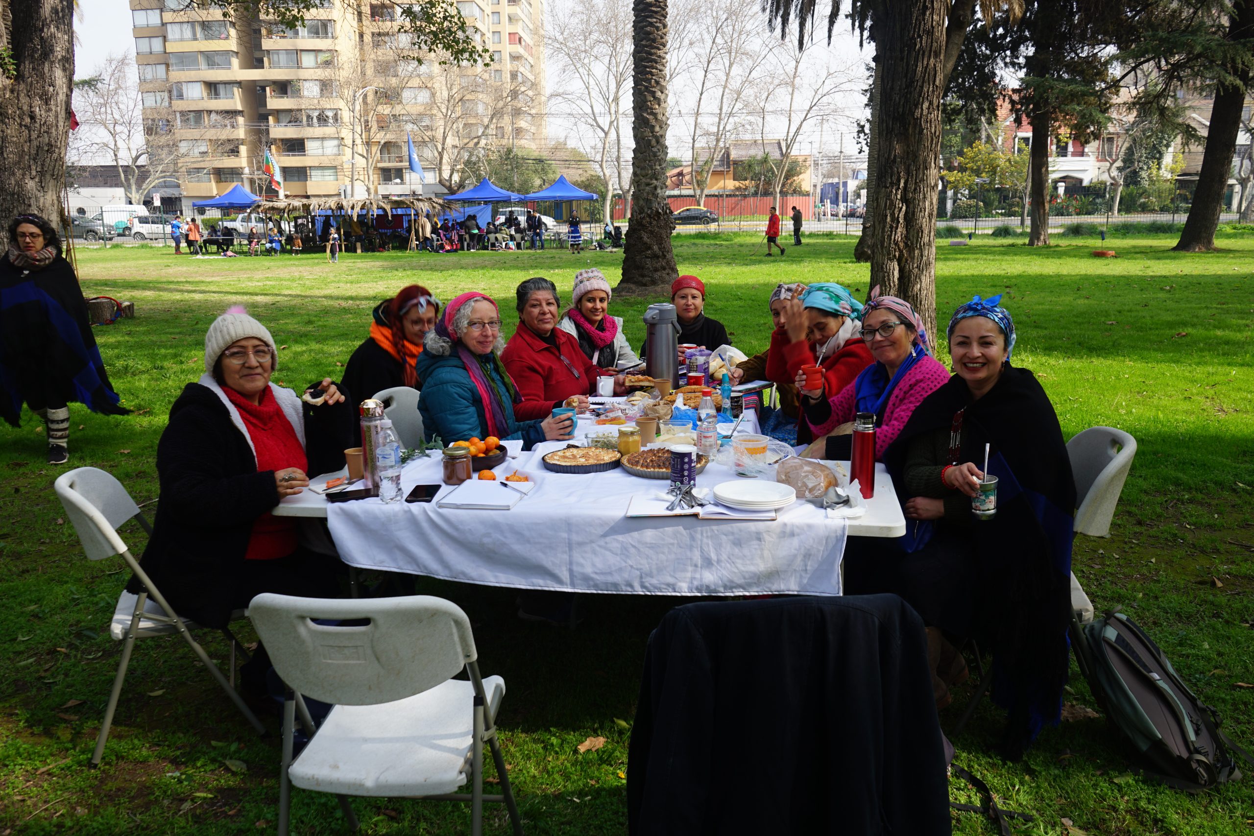 Taller De Sanación Mapuche - Lawentún 6 Taller de sanación mapuche - lawentún - imagen 6