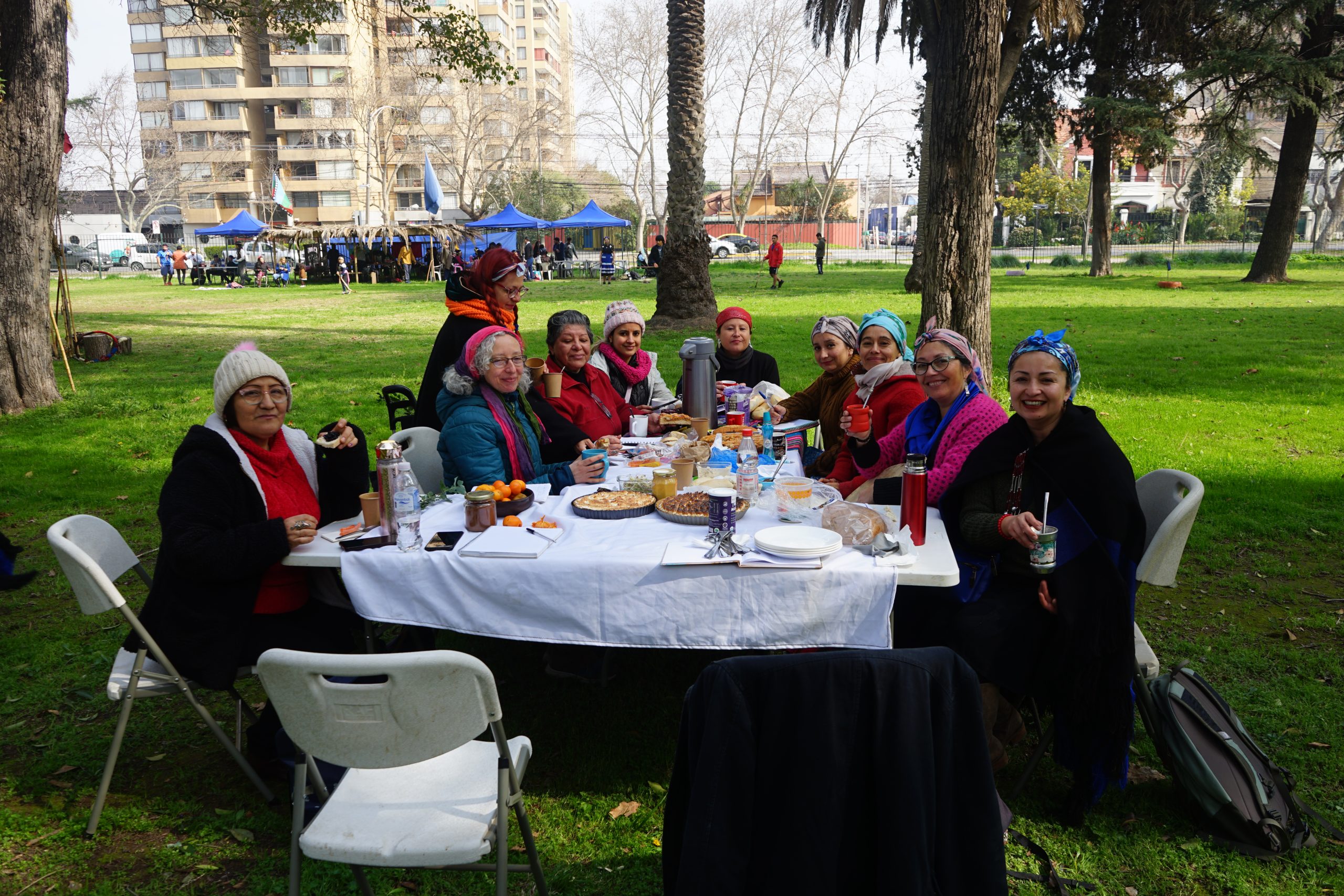 Taller De Sanación Mapuche - Lawentún 5 Taller de sanación mapuche - lawentún - imagen 5