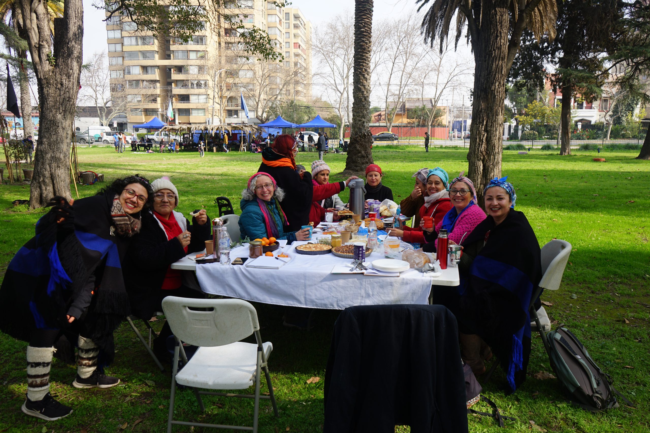 Taller De Sanación Mapuche - Lawentún 4 Taller de sanación mapuche - lawentún - imagen 4